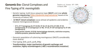 Genomic Era- Clonal Complexes and
Fine Typing of N. meningitidis
• Genetic typing: multi-locus sequence type (MLST) and no...