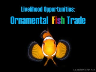Livelihood Opportunities:
Ornamental Fish Trade



                          A Gopalakrishnan Nair
 