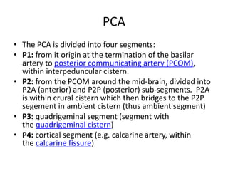 MRI Brain | PPTX