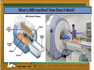 Mri Basic Components Comprehensive Overview of MRI: Principles, Components, and Clinical ...