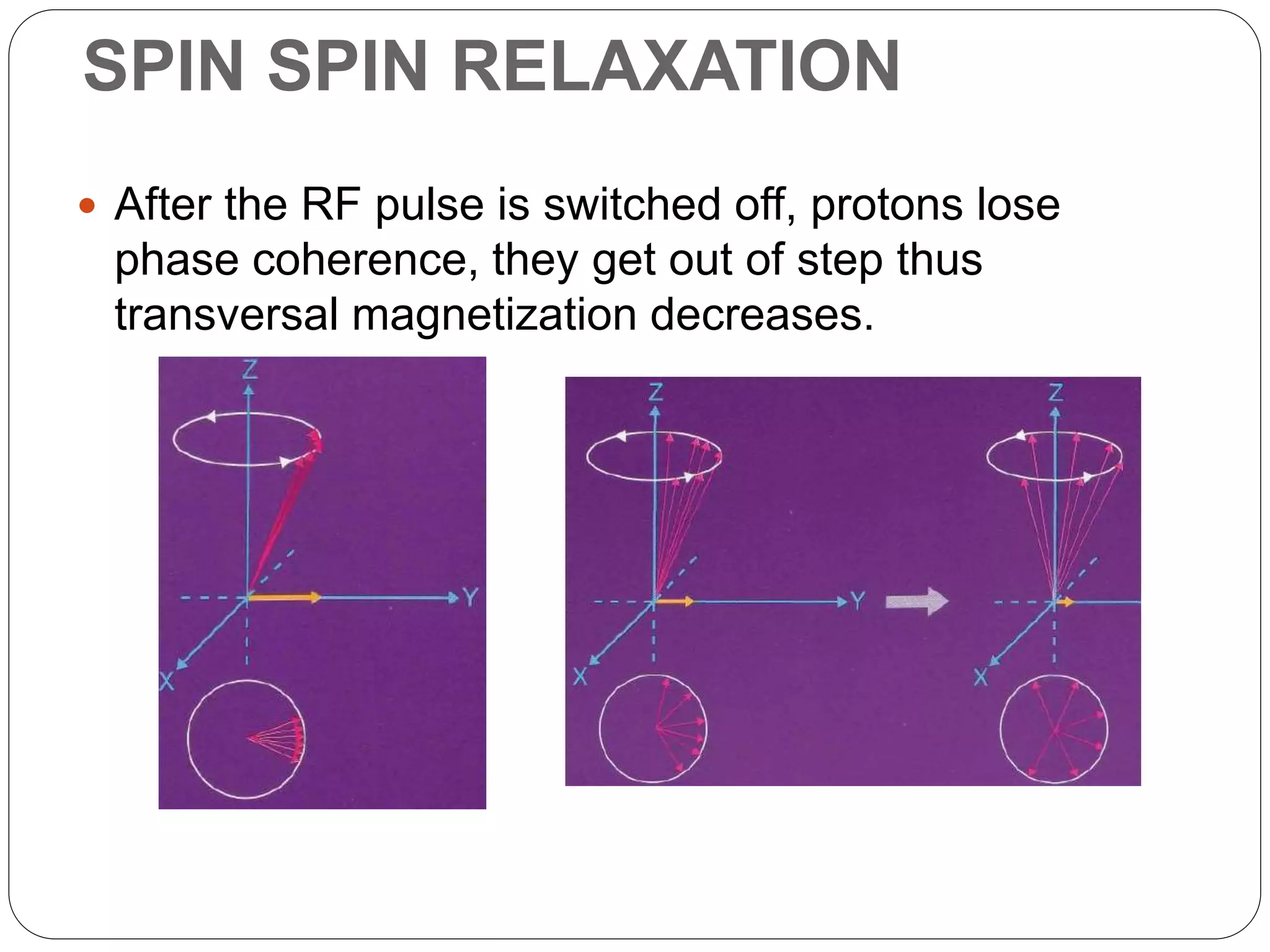 SPIN SPIN RELAXATION
 After the RF pulse is switched off, protons lose
phase coherence, they get out of step thus
transversal magnetization decreases.
 