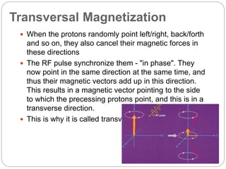 Transversal Magnetization
 When the protons randomly point left/right, back/forth
and so on, they also cancel their magnetic forces in
these directions
 The RF pulse synchronize them - "in phase". They
now point in the same direction at the same time, and
thus their magnetic vectors add up in this direction.
This results in a magnetic vector pointing to the side
to which the precessing protons point, and this is in a
transverse direction.
 This is why it is called transversal magnetization.
 