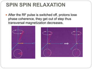 SPIN SPIN RELAXATION
 After the RF pulse is switched off, protons lose
phase coherence, they get out of step thus
transversal magnetization decreases.
 