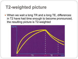 T2-weighted picture
 When we wait a long TR and a long TE, differences
in T2 have had time enough to become pronounced,
the resulting picture is T2-weighted
 
