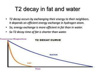 T2 decay in fat and water
• T2 decay occurs by exchanging their energy to their neighbors.
It depends on efficient energy exchange in hydrogen atom.
• So, energy exchange is more efficient in fat than in water.
• So T2 decay time of fat is shorter than water.
 