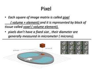 Pixel
• Each square of image matrix is called pixel
( volume + element) and it is represented by block of
tissue called voxel ( volume element).
• pixels don’t have a fixed size , their diameter are
generally measured in micrometer ( microns).
 