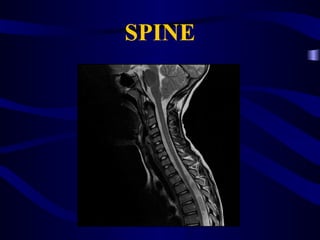 mri-for-beginners powerpoint presentation | PPT