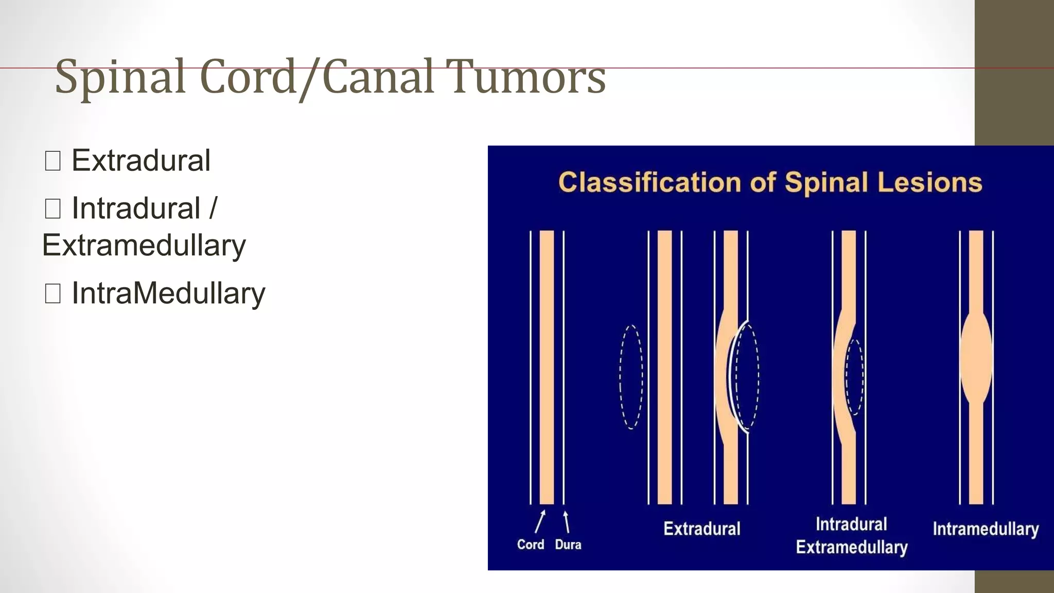 MRI-in Spine PPT.pptx