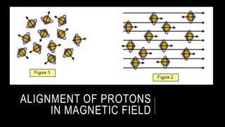 ALIGNMENT OF PROTONS
IN MAGNETIC FIELD
 
