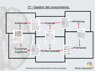 2º.- Gestión del conocimiento.
Anatomía
Genes
Funciones
Cognitivas
Proteinas
Fármacos
Enfermedades
Reunión Anual Sociedad Española de Neuroradiología
®