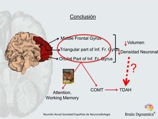 Conclusión
Middle Frontal Gyrus
Volumen
Triangular part of Inf. Fr. Gyrus
Densidad Neuronal
Orbital Part of Inf. Fr. Gyrus
?
Attention,
Working Memory
COMT
Reunión Anual Sociedad Española de Neuroradiología
TDAH
®