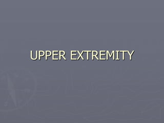 UPPER EXTREMITY
 