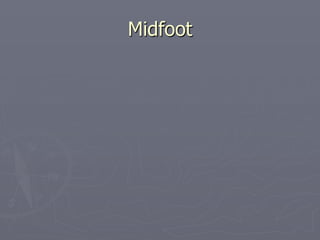 Midfoot
 