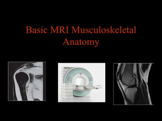 Basic MRI Musculoskeletal Anatomy 