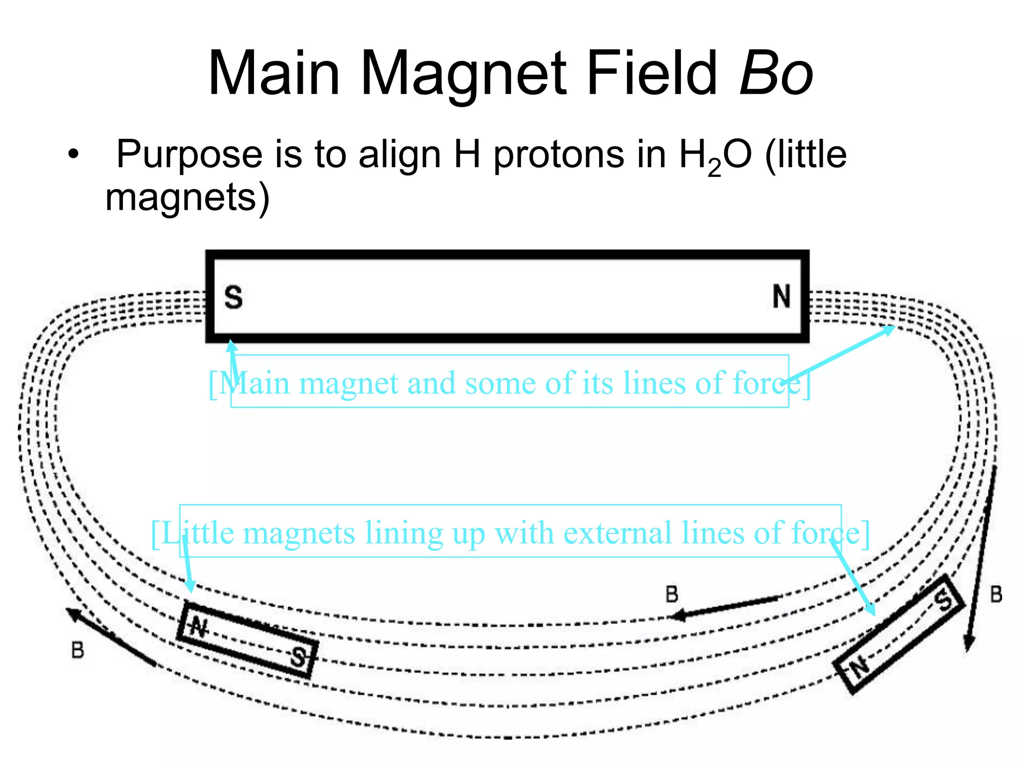 Main Magnet Field Bo
• Purpose is to align H protons in H2O (little
magnets)
[Little magnets lining up with external lines of force]
[Main magnet and some of its lines of force]
 