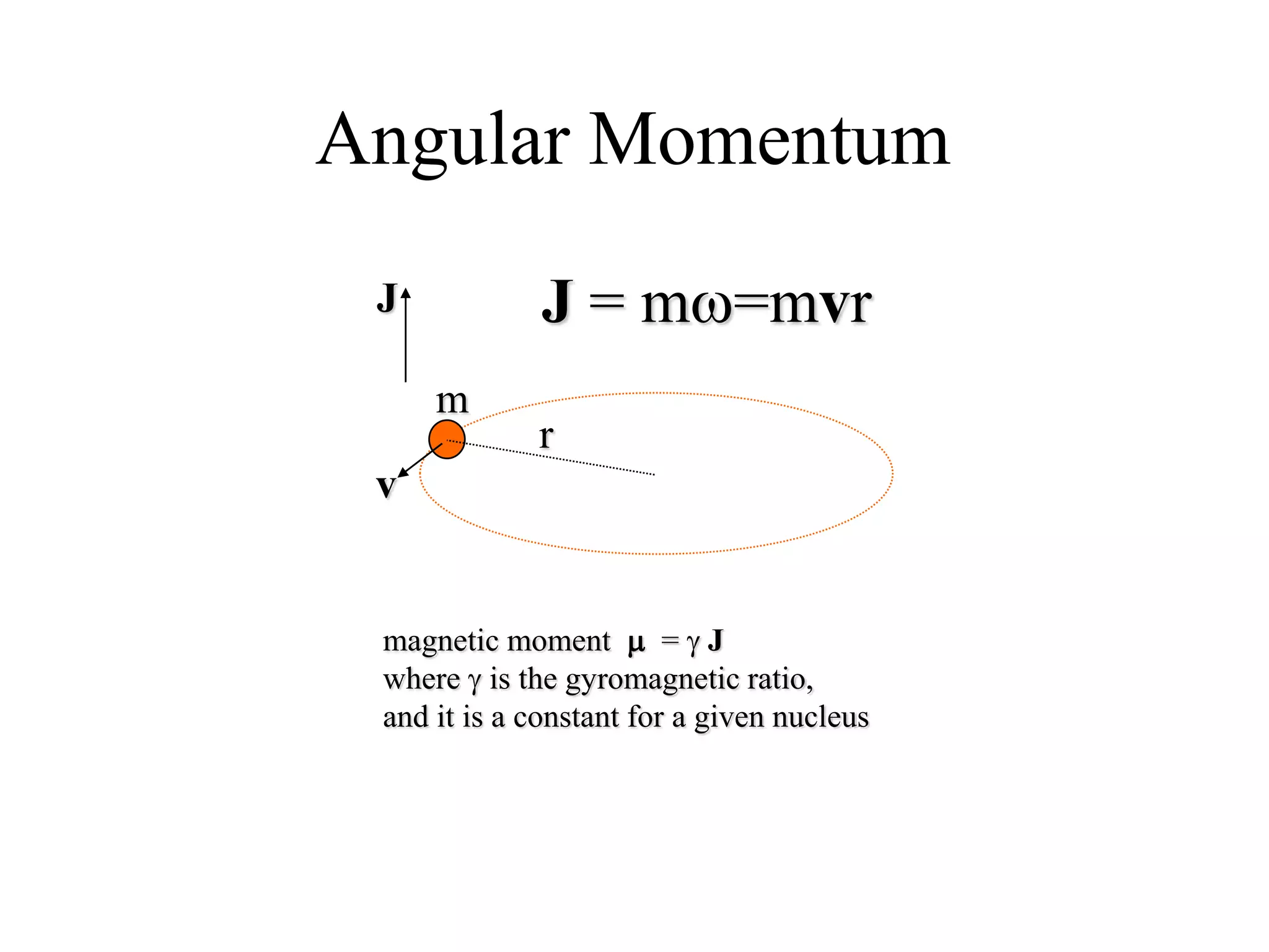 Angular Momentum
J = mw=mvr
m
v
r
J
magnetic moment m = g J
where g is the gyromagnetic ratio,
and it is a constant for a given nucleus
 