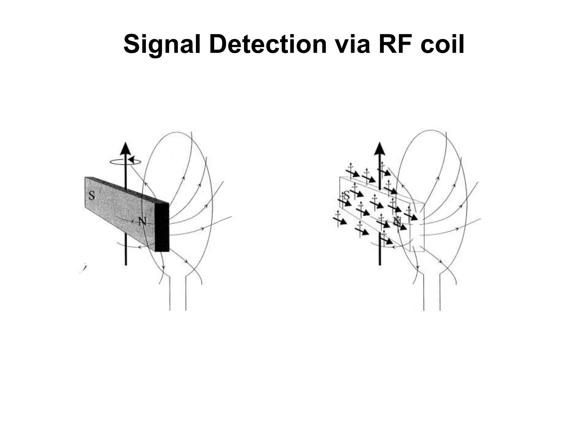 Signal Detection via RF coil
 