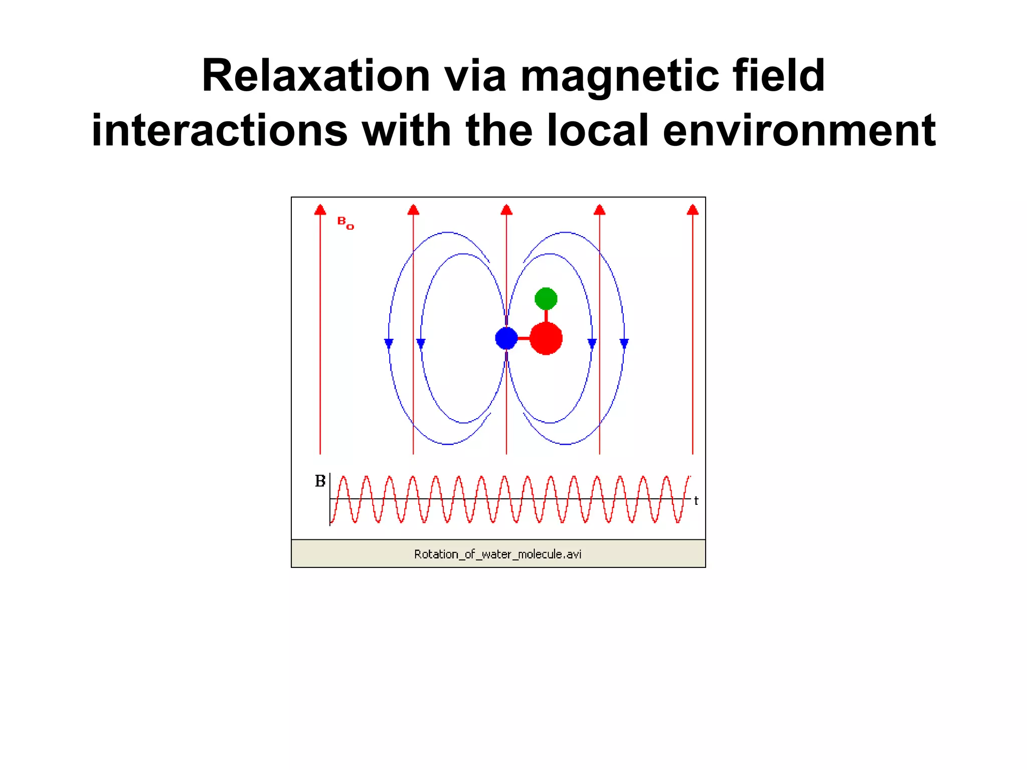 Relaxation via magnetic field
interactions with the local environment
 