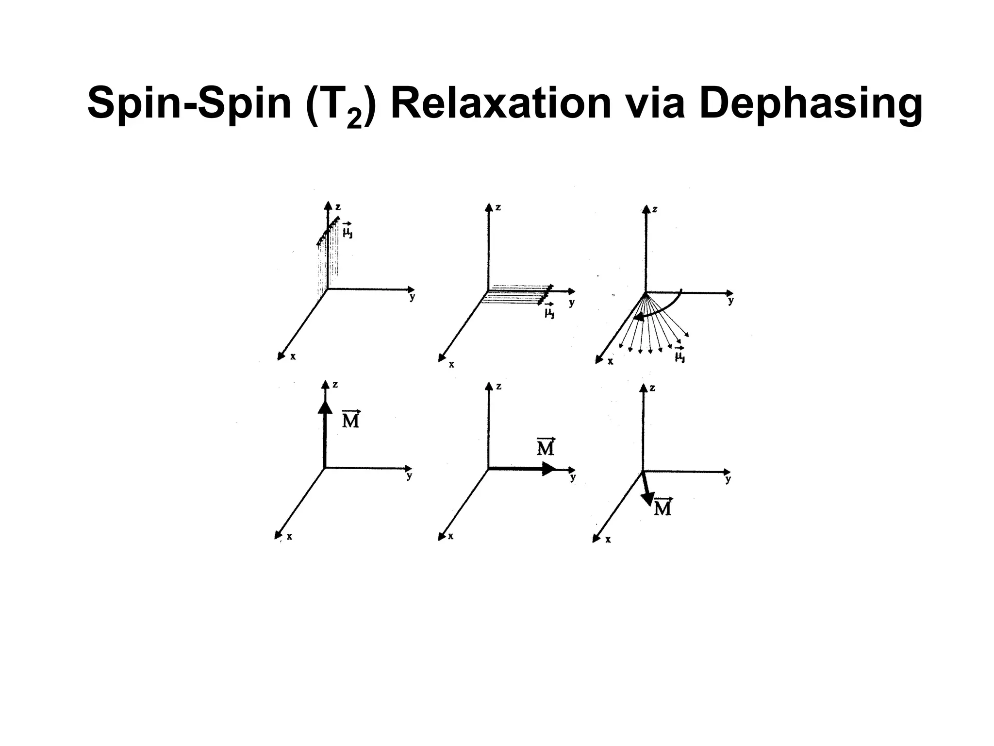 Spin-Spin (T2) Relaxation via Dephasing
 