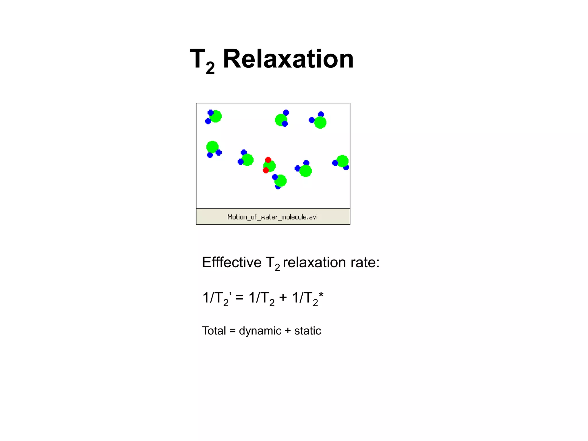 T2 Relaxation
Efffective T2 relaxation rate:
1/T2’ = 1/T2 + 1/T2*
Total = dynamic + static
 