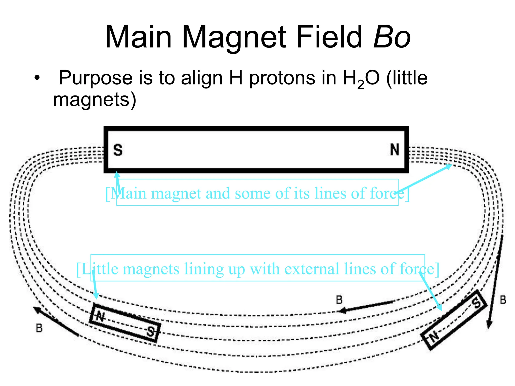Main Magnet Field Bo
• Purpose is to align H protons in H2O (little
magnets)
[Little magnets lining up with external lines of force]
[Main magnet and some of its lines of force]
 