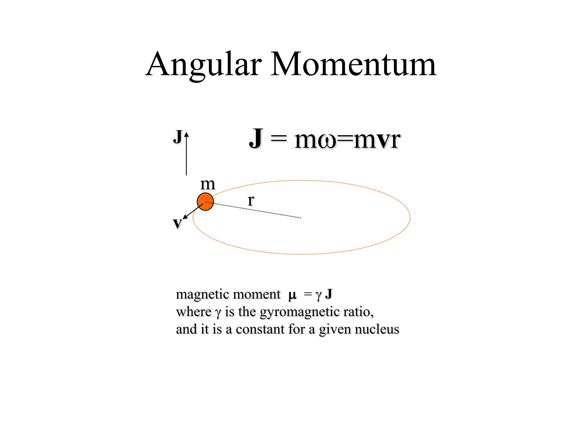 Angular Momentum
J = mw=mvr
m
v
r
J
magnetic moment m = g J
where g is the gyromagnetic ratio,
and it is a constant for a given nucleus
 