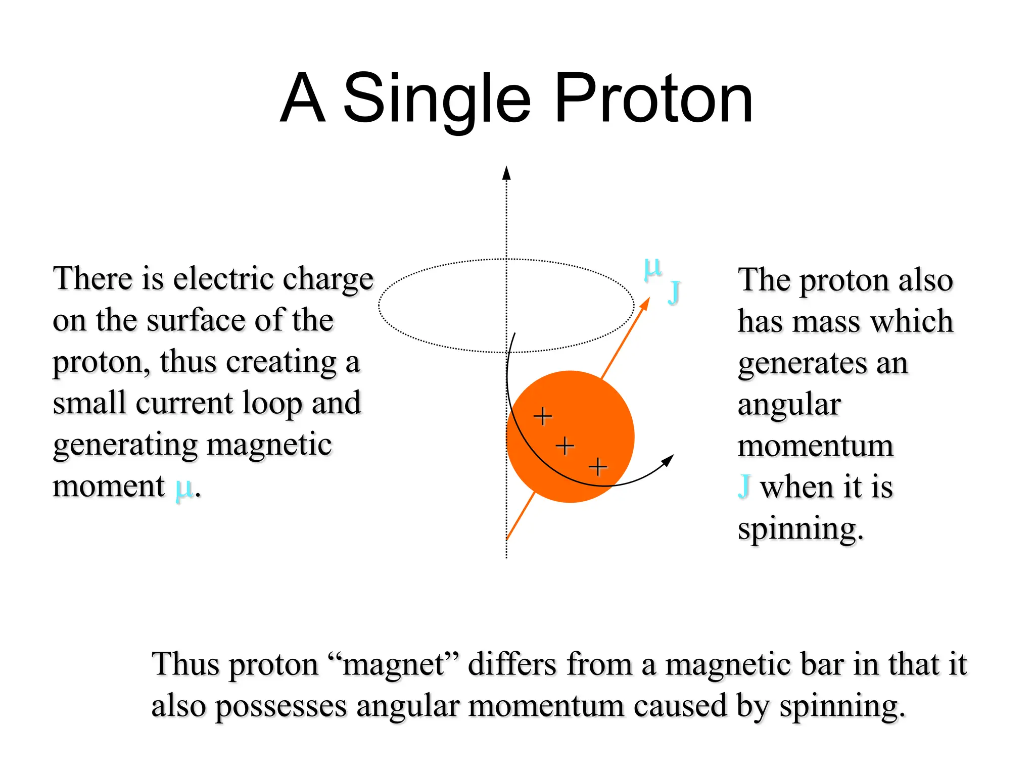 A Single Proton
+
+
+
There is electric charge
on the surface of the
proton, thus creating a
small current loop and
generating magnetic
moment m.
The proton also
has mass which
generates an
angular
momentum
J when it is
spinning.
J
m
Thus proton “magnet” differs from a magnetic bar in that it
also possesses angular momentum caused by spinning.
 