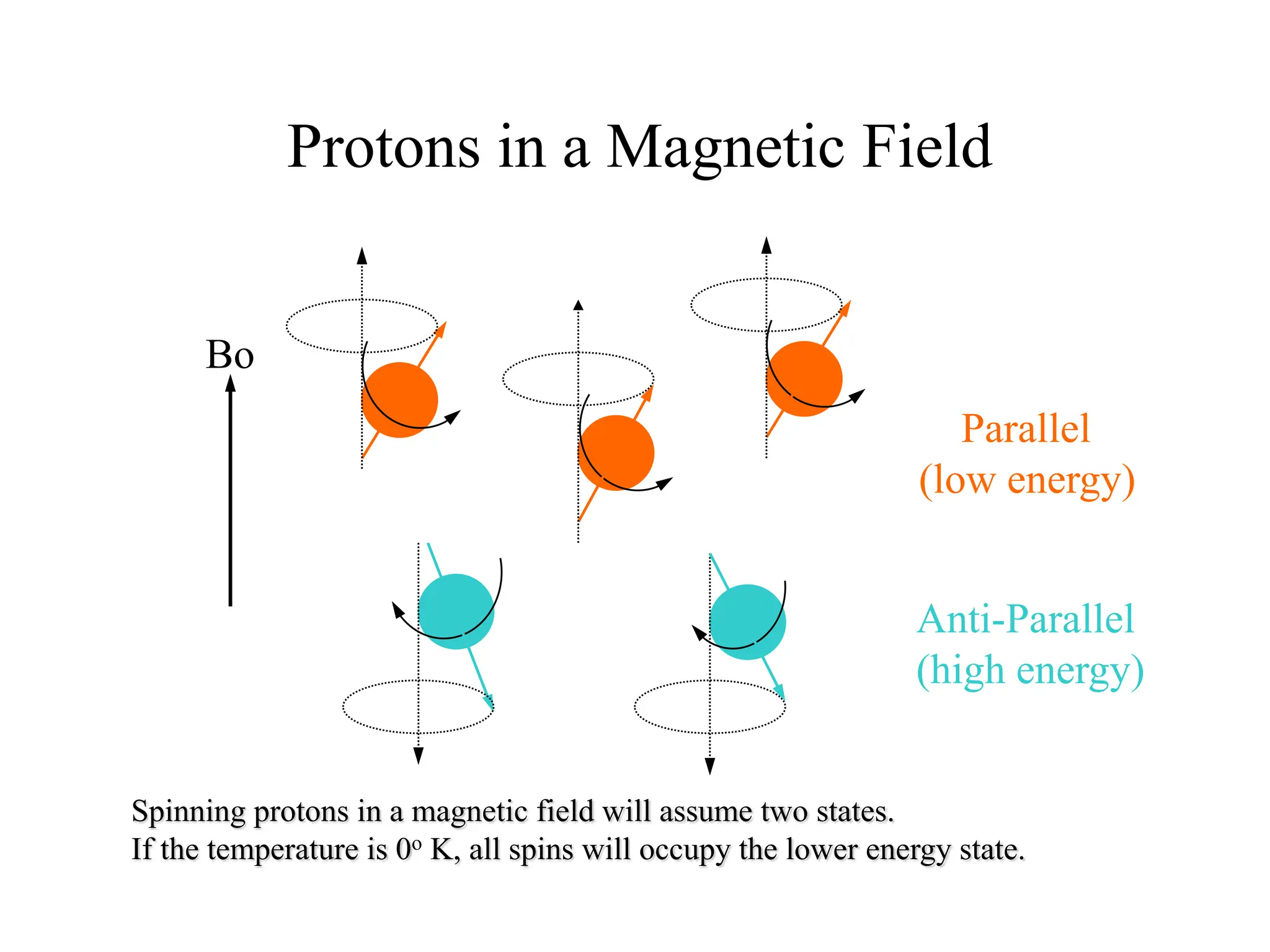 Protons in a Magnetic Field
Bo
Parallel
(low energy)
Anti-Parallel
(high energy)
Spinning protons in a magnetic field will assume two states.
If the temperature is 0o K, all spins will occupy the lower energy state.
 