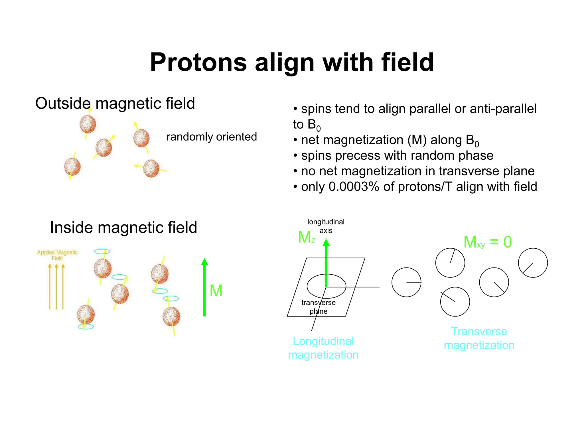 Protons align with field
Outside magnetic field
randomly oriented
• spins tend to align parallel or anti-parallel
to B0
• net magnetization (M) along B0
• spins precess with random phase
• no net magnetization in transverse plane
• only 0.0003% of protons/T align with field
Inside magnetic field
Mz
Mxy = 0
longitudinal
axis
transverse
plane
Longitudinal
magnetization
Transverse
magnetization
M
 