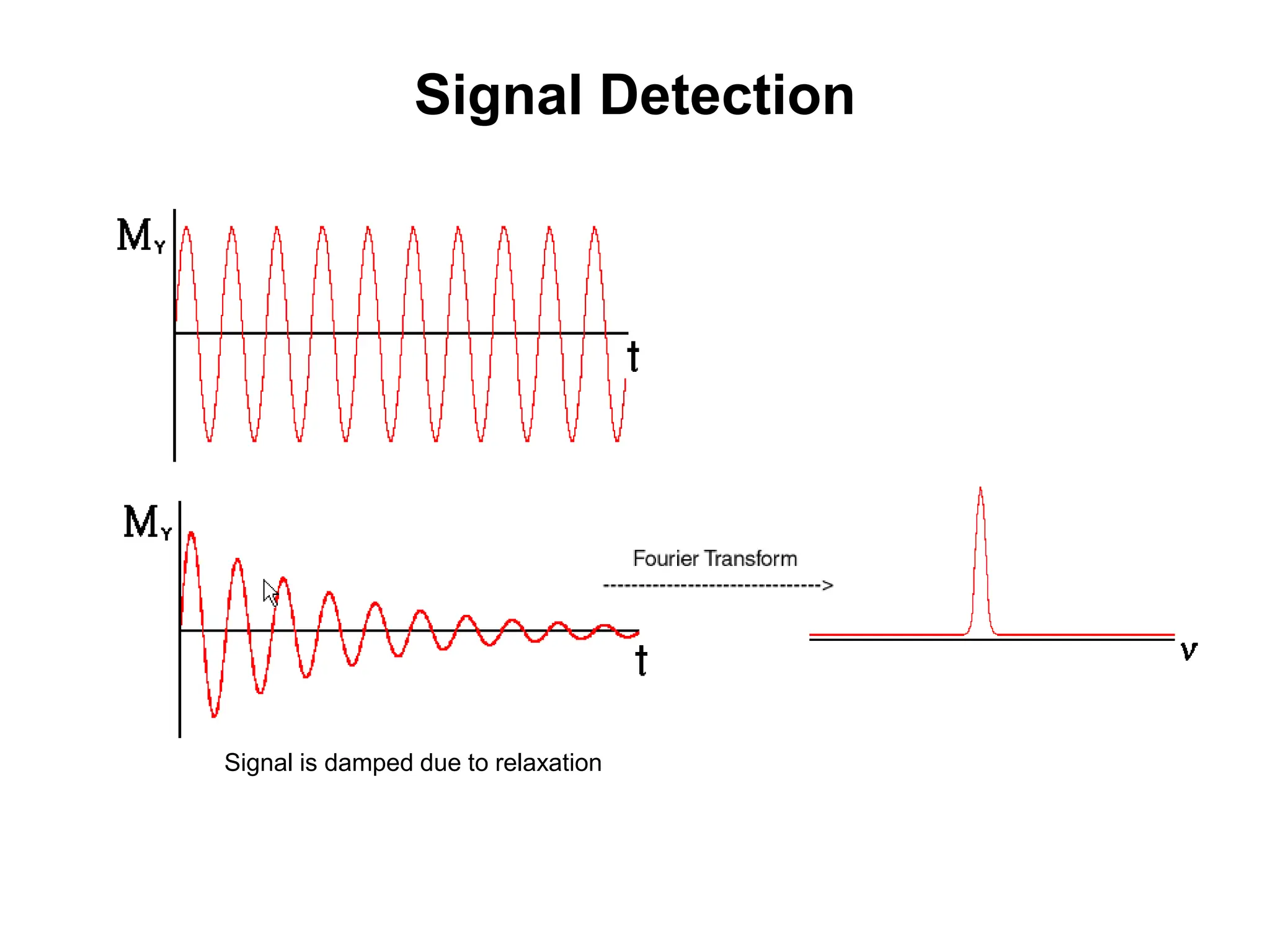 Signal Detection
Signal is damped due to relaxation
 