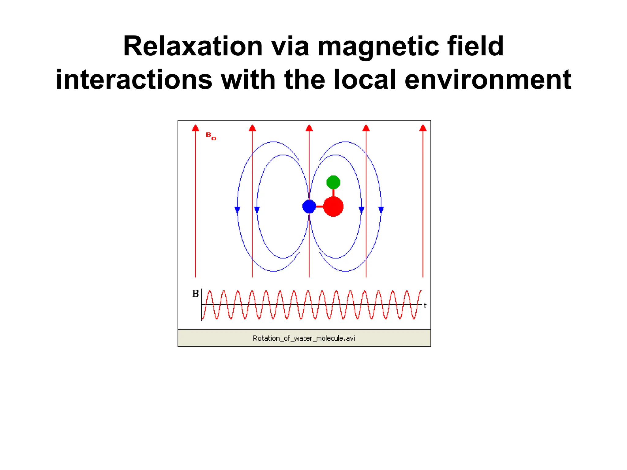 Relaxation via magnetic field
interactions with the local environment
 
