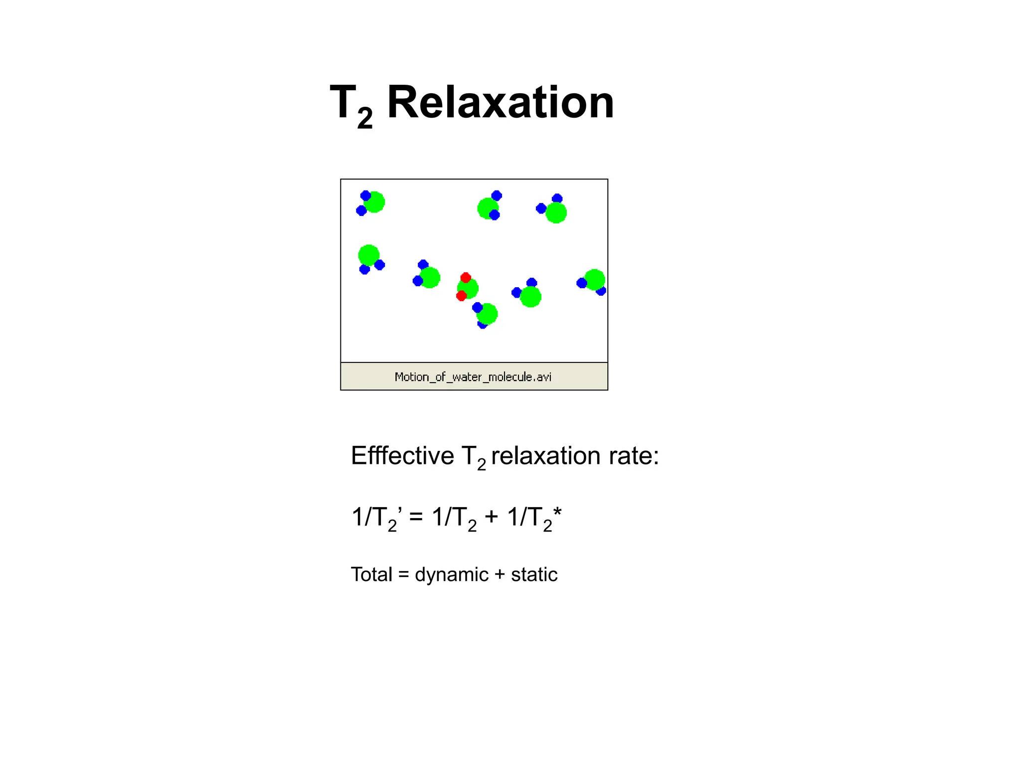 T2 Relaxation
Efffective T2 relaxation rate:
1/T2’ = 1/T2 + 1/T2*
Total = dynamic + static
 