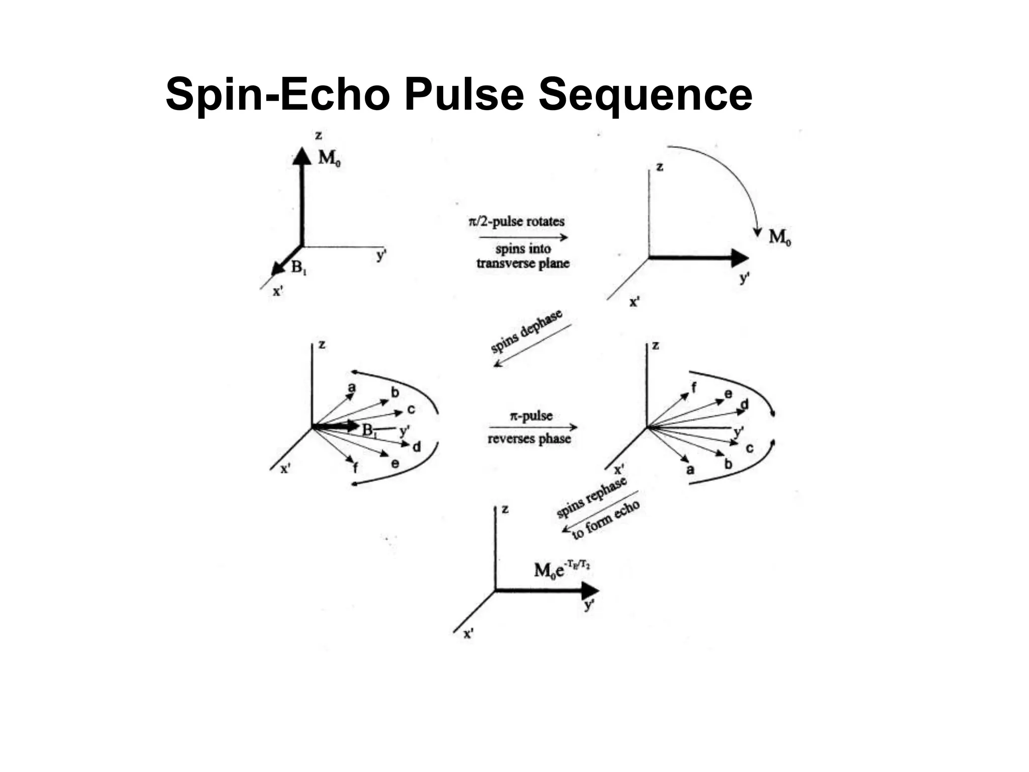 Spin-Echo Pulse Sequence
 