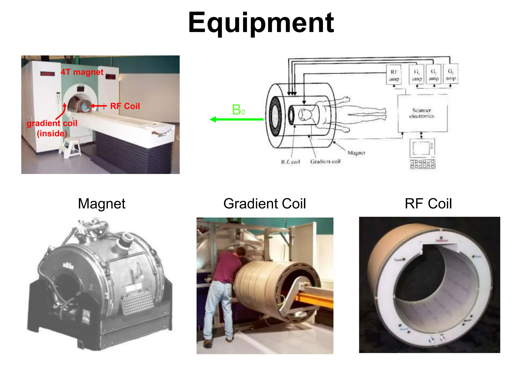 Equipment
Magnet Gradient Coil RF Coil
RF Coil
4T magnet
gradient coil
(inside)
B0
 