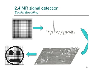 2.4 MR signal detection Spatial Encoding 
