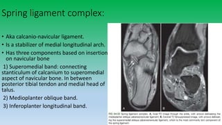 Spring ligament complex:
• Aka calcanio-navicular ligament.
• Is a stabilizer of medial longitudinal arch.
• Has three components based on insertion
on navicular bone
1) Superomedial band: connecting
stanticulum of calcanium to superomedial
aspect of navicular bone. In between
posterior tibial tendon and medial head of
talus.
2) Medioplanter oblique band.
3) Inferoplanter longitudinal band.
 