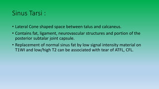 Sinus Tarsi :
• Lateral Cone shaped space between talus and calcaneus.
• Contains fat, ligament, neurovascular structures and portion of the
posterior subtalar joint capsule.
• Replacement of normal sinus fat by low signal intensity material on
T1WI and low/high T2 can be associated with tear of ATFL, CFL.
 