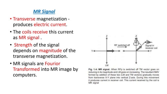 Mri basic principles | PPTX