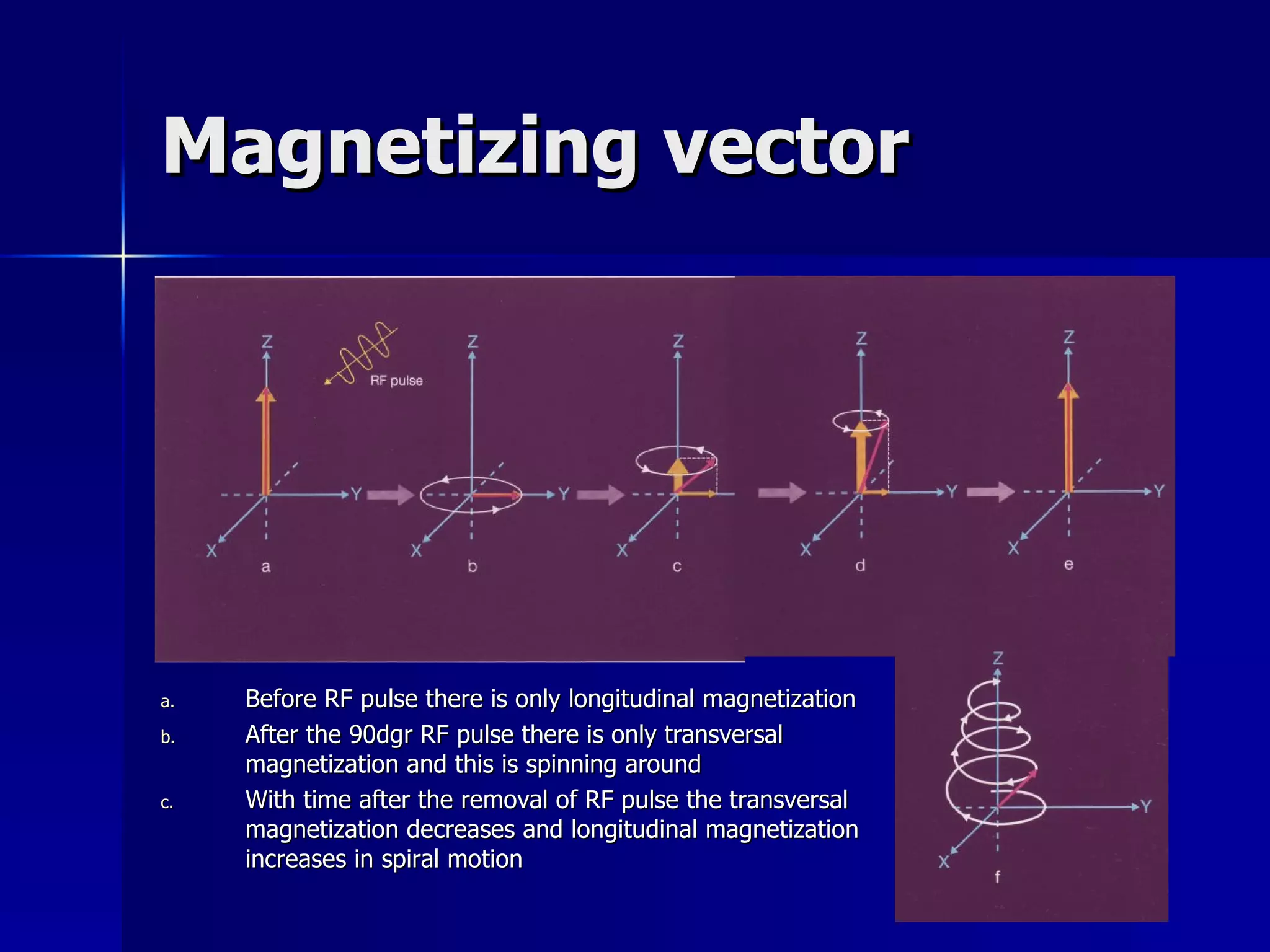 Magnetizing vector Before RF pulse there is only longitudinal magnetization After the 90dgr RF pulse there is only transversal magnetization and this is spinning around With time after the removal of RF pulse the transversal magnetization decreases and longitudinal magnetization increases in spiral motion 