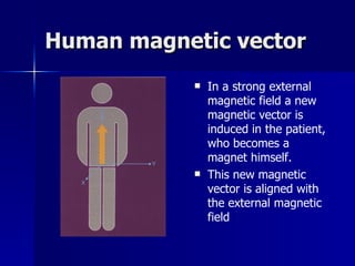 Human magnetic vector In a strong external magnetic field a new magnetic vector is induced in the patient, who becomes a magnet himself. This new magnetic vector is aligned with the external magnetic field 
