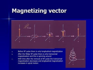 Magnetizing vector Before RF pulse there is only longitudinal magnetization After the 90dgr RF pulse there is only transversal magnetization and this is spinning around With time after the removal of RF pulse the transversal magnetization decreases and longitudinal magnetization increases in spiral motion 