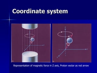 Coordinate system Representation of magnetic force in Z axis, Proton vector as red arrow 