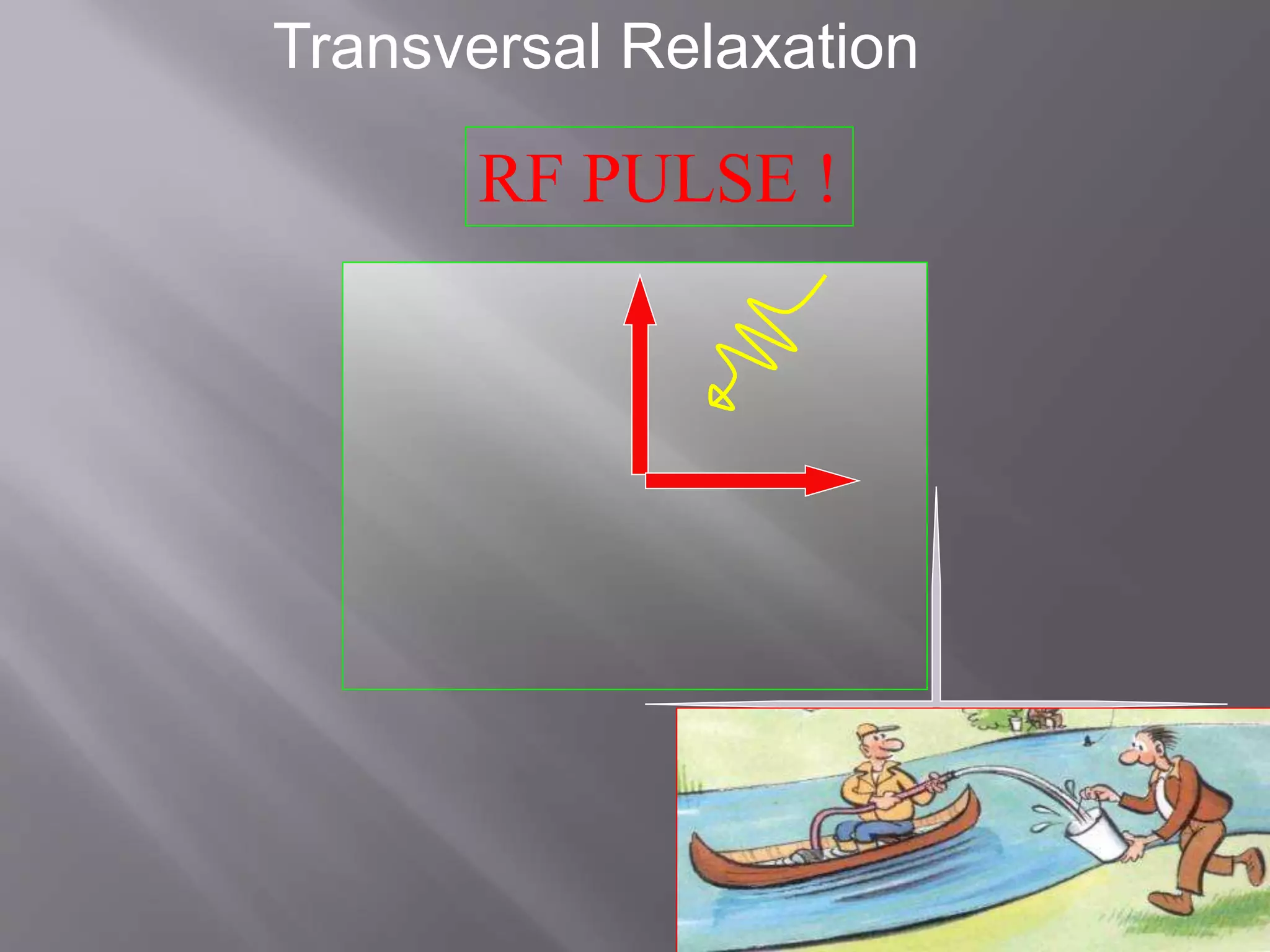 Transversal Relaxation
RF PULSE !
 