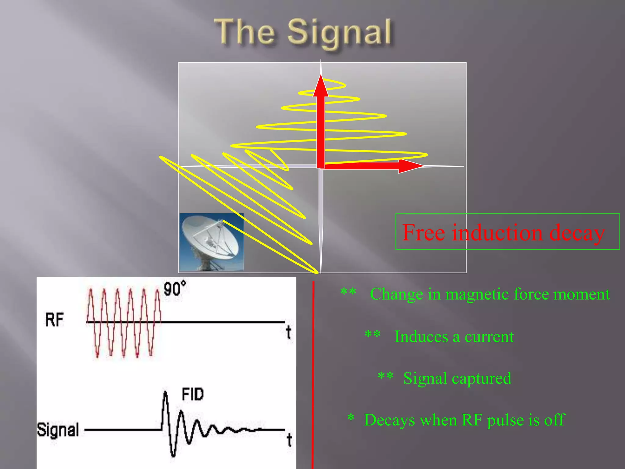 ** Change in magnetic force moment
** Induces a current
** Signal captured
* Decays when RF pulse is off
Free induction decay
 