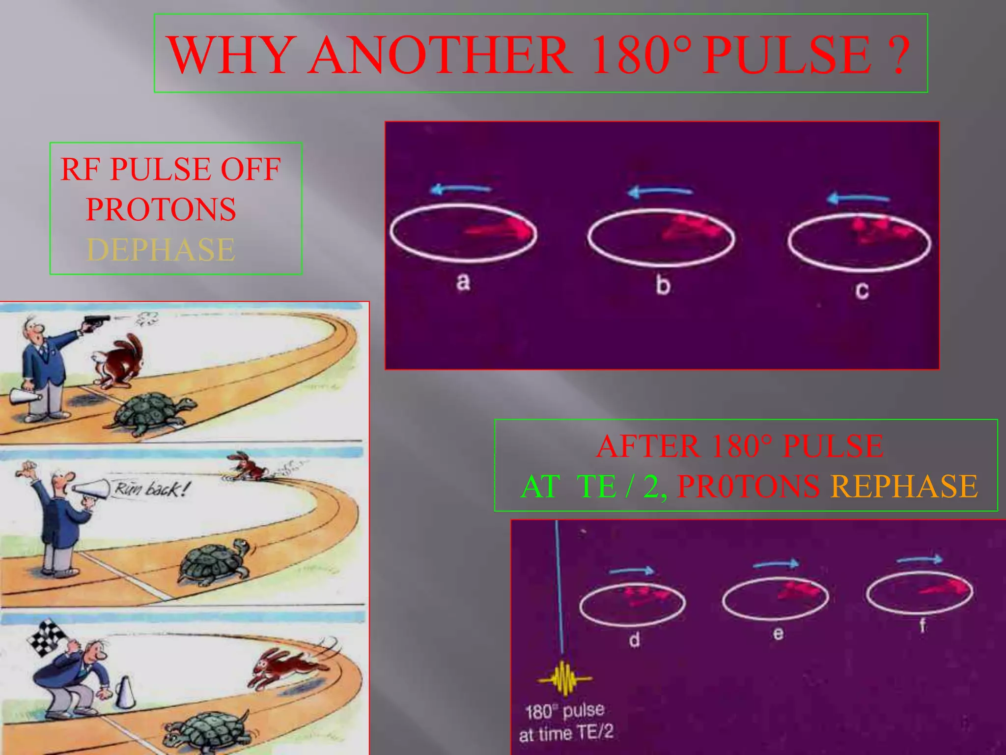 RF PULSE OFF
PROTONS
DEPHASE
AFTER 180° PULSE
AT TE / 2, PR0TONS REPHASE
WHY ANOTHER 180°PULSE ?
 