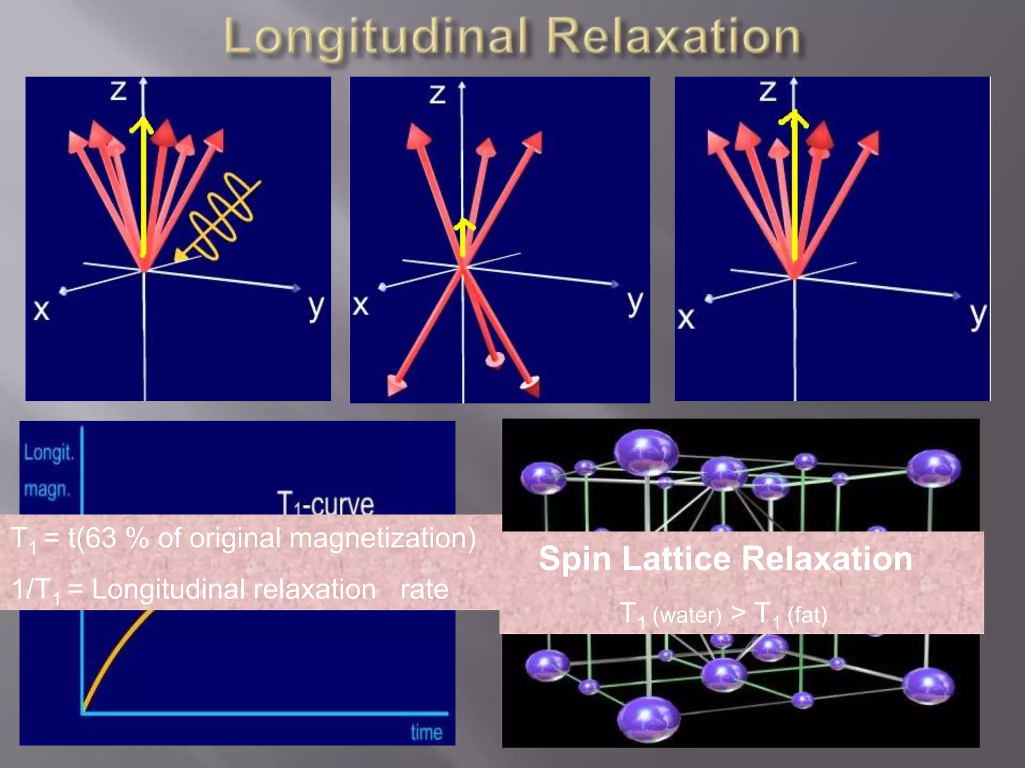 T1 = t(63 % of original magnetization)
1/T1 = Longitudinal relaxation rate
Spin Lattice Relaxation
T1 (water) > T1 (fat)
 