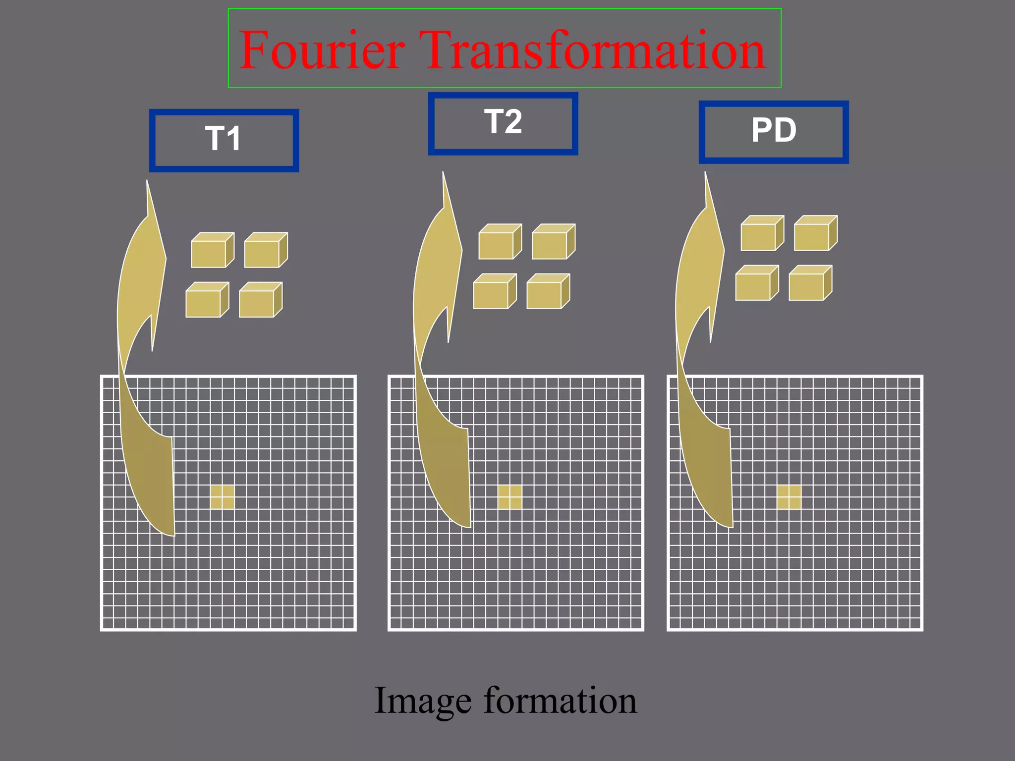 T1 T2 PD
Fourier Transformation
Image formation
 
