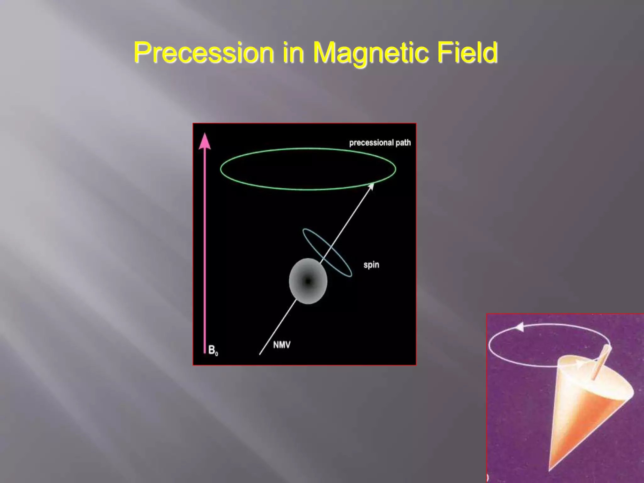 Precession in Magnetic Field
 