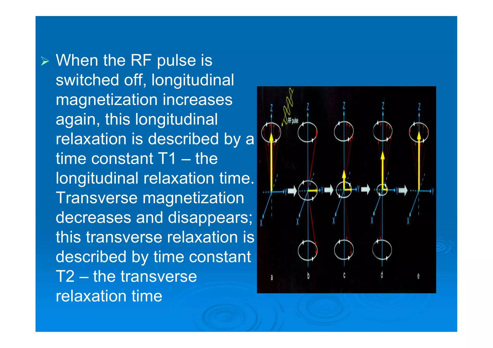  When the RF pulse is
switched off, longitudinal
magnetization increases
again, this longitudinal
relaxation is described by a
time constant T1 – the
longitudinal relaxation time.
Transverse magnetization
decreases and disappears;
this transverse relaxation is
described by time constant
T2 – the transverse
relaxation time
 