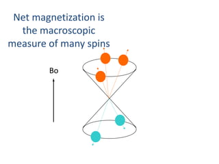 Net magnetization is
the macroscopic
measure of many spins
Bo
 